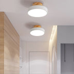 LED Ceiling Lamp with Dimmable Mode