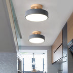 LED Ceiling Lamp with Dimmable Mode