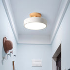 LED Ceiling Lamp with Dimmable Mode