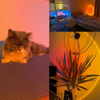 Modern LED mood projector table lamp with rainbow color-changing light and spherical design