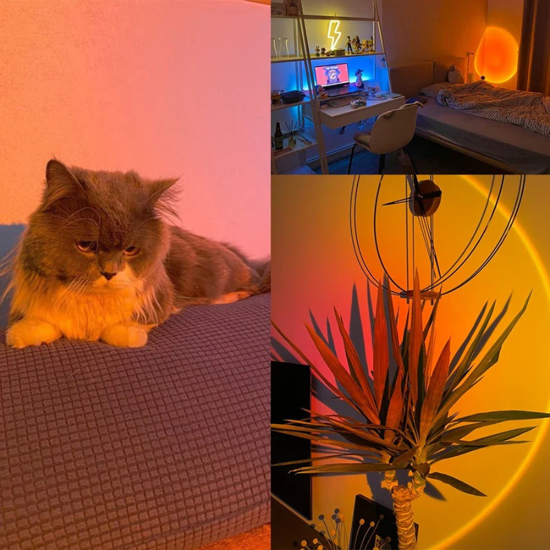 Modern LED mood projector table lamp with rainbow color-changing light and spherical design